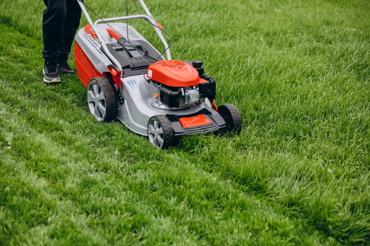 Commercial Lawn Maintenance-img