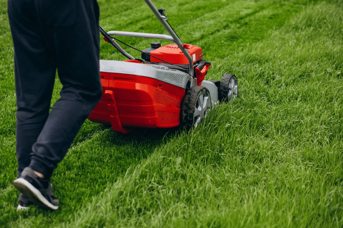 Lawn Mowing-image