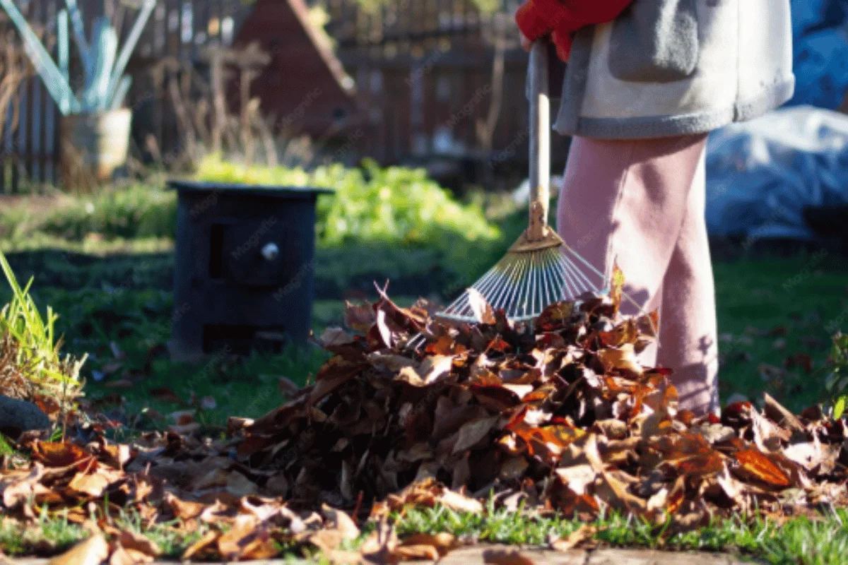Yard Clean-Up-images